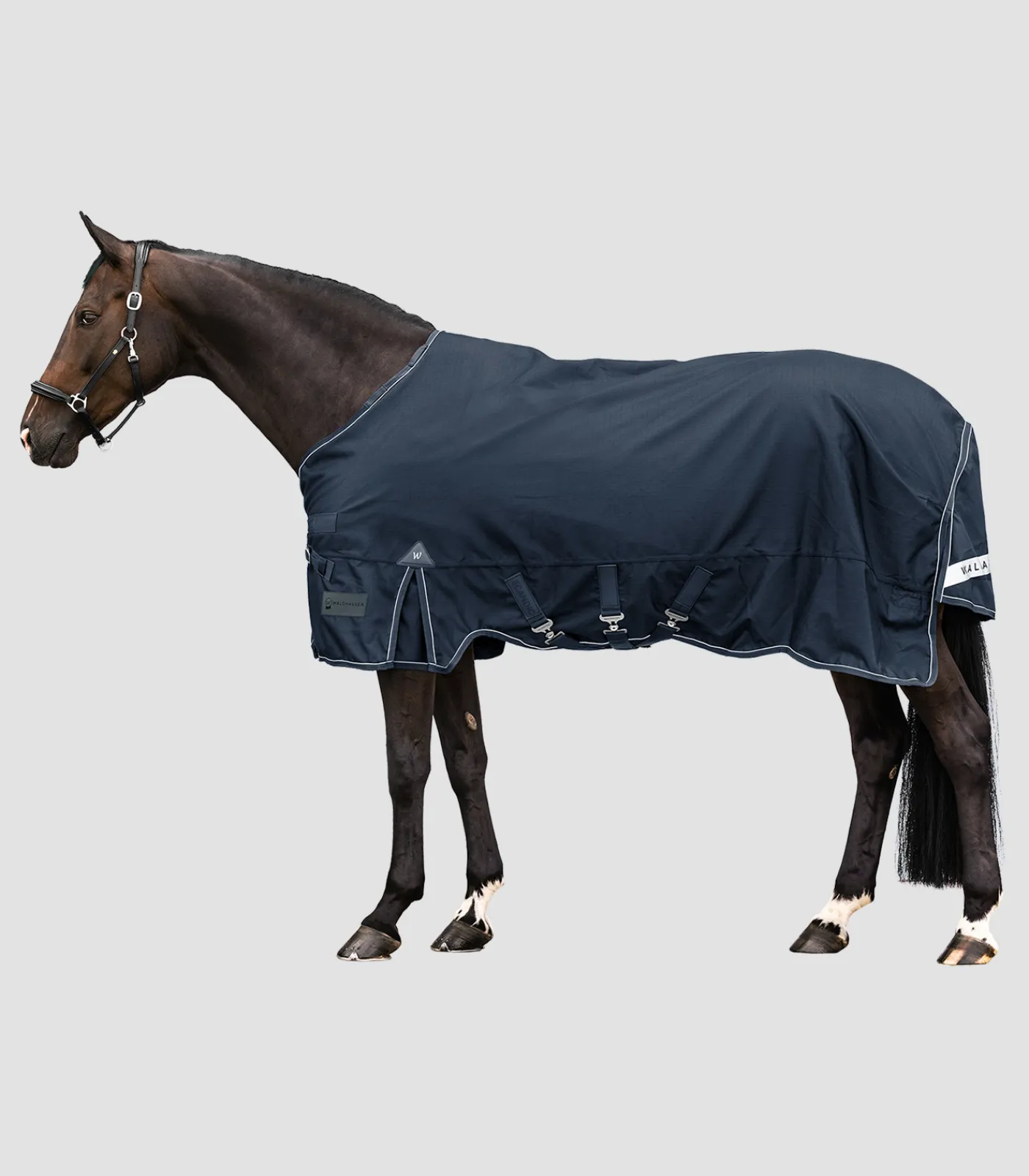 Waldhausen Outdoordecken>SCANDIC Outdoordecke, 50 g