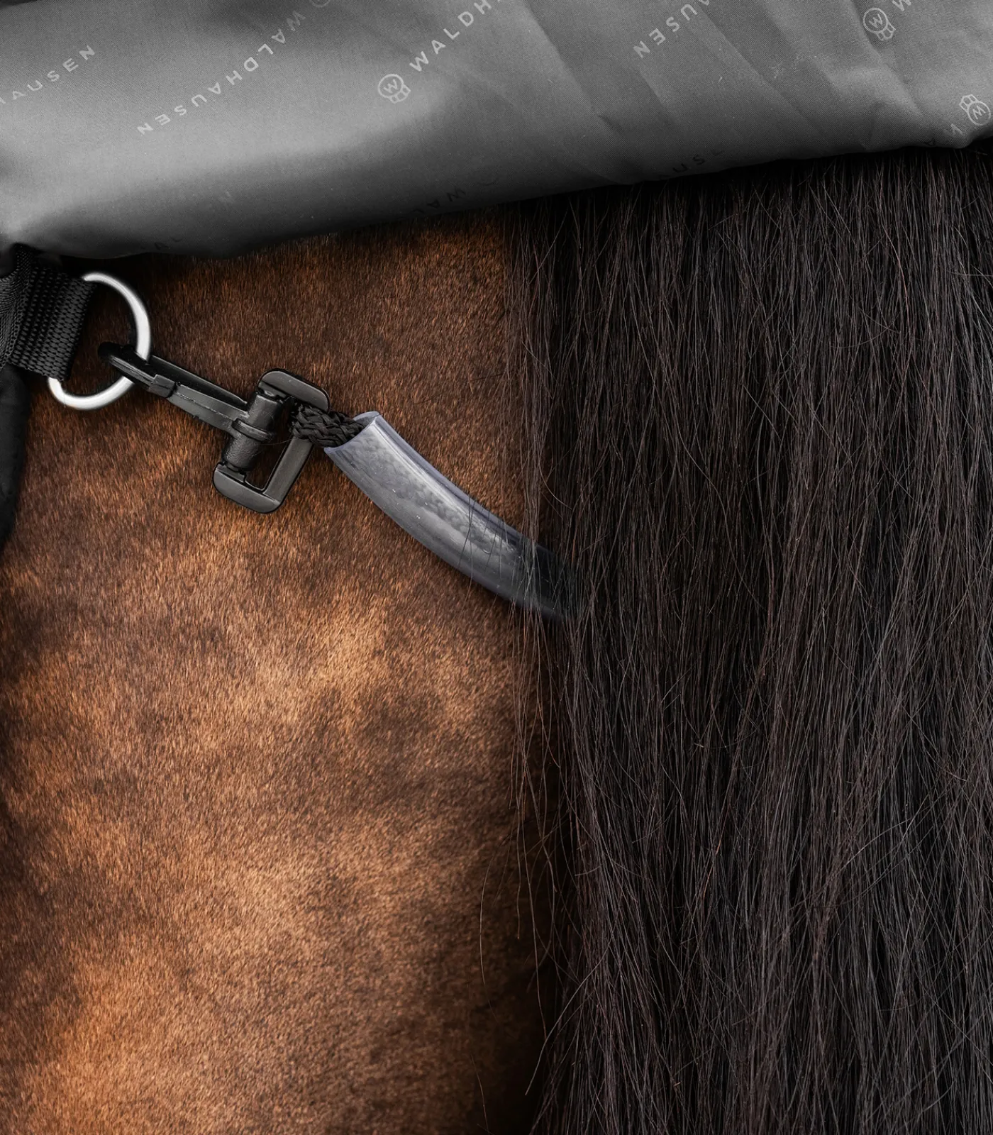 Waldhausen Outdoordecken>SCANDIC Outdoordecke, 50 g