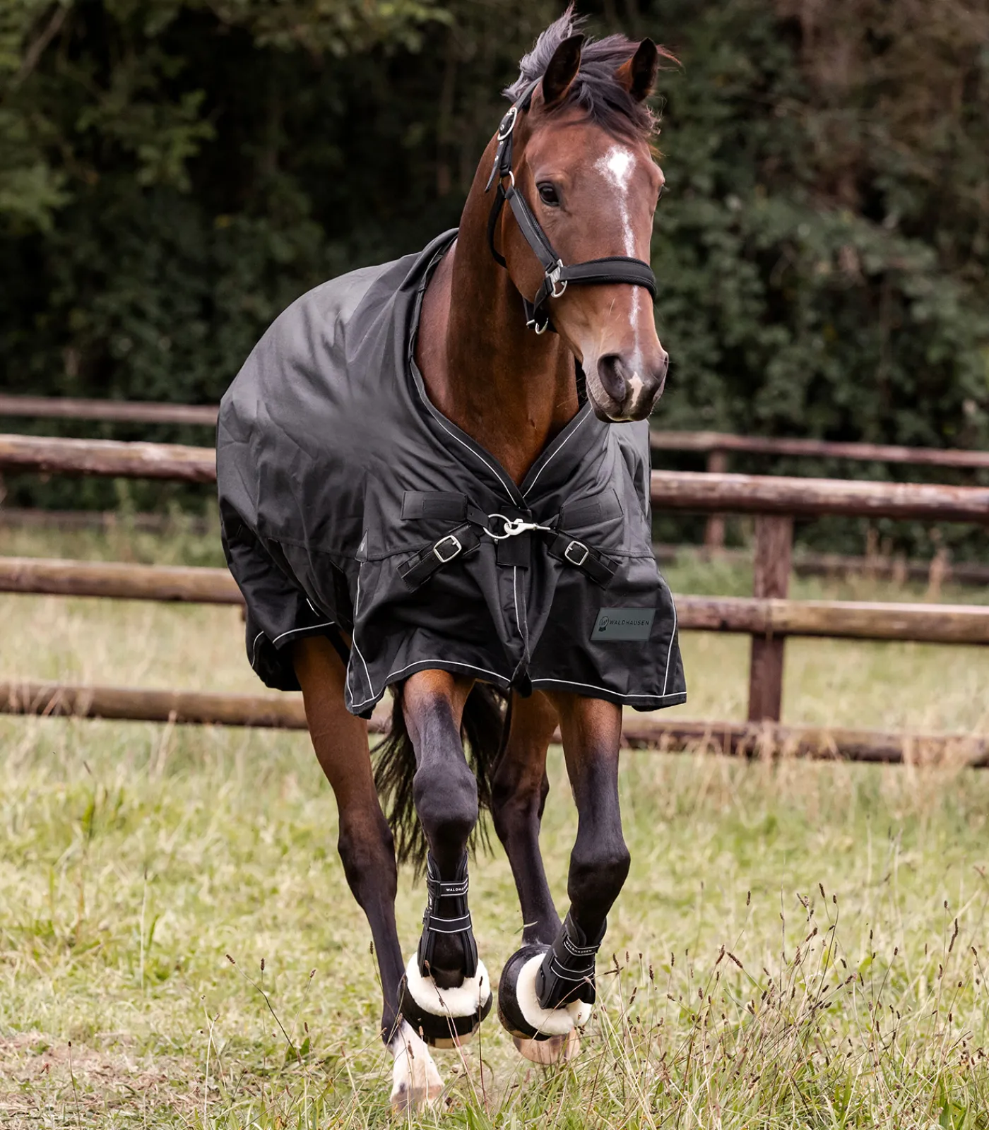 Waldhausen Outdoordecken>SCANDIC Outdoordecke, 50 g