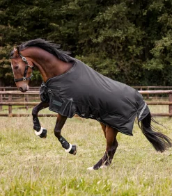 Waldhausen Outdoordecken></noscript>SCANDIC Outdoordecke, 100 g