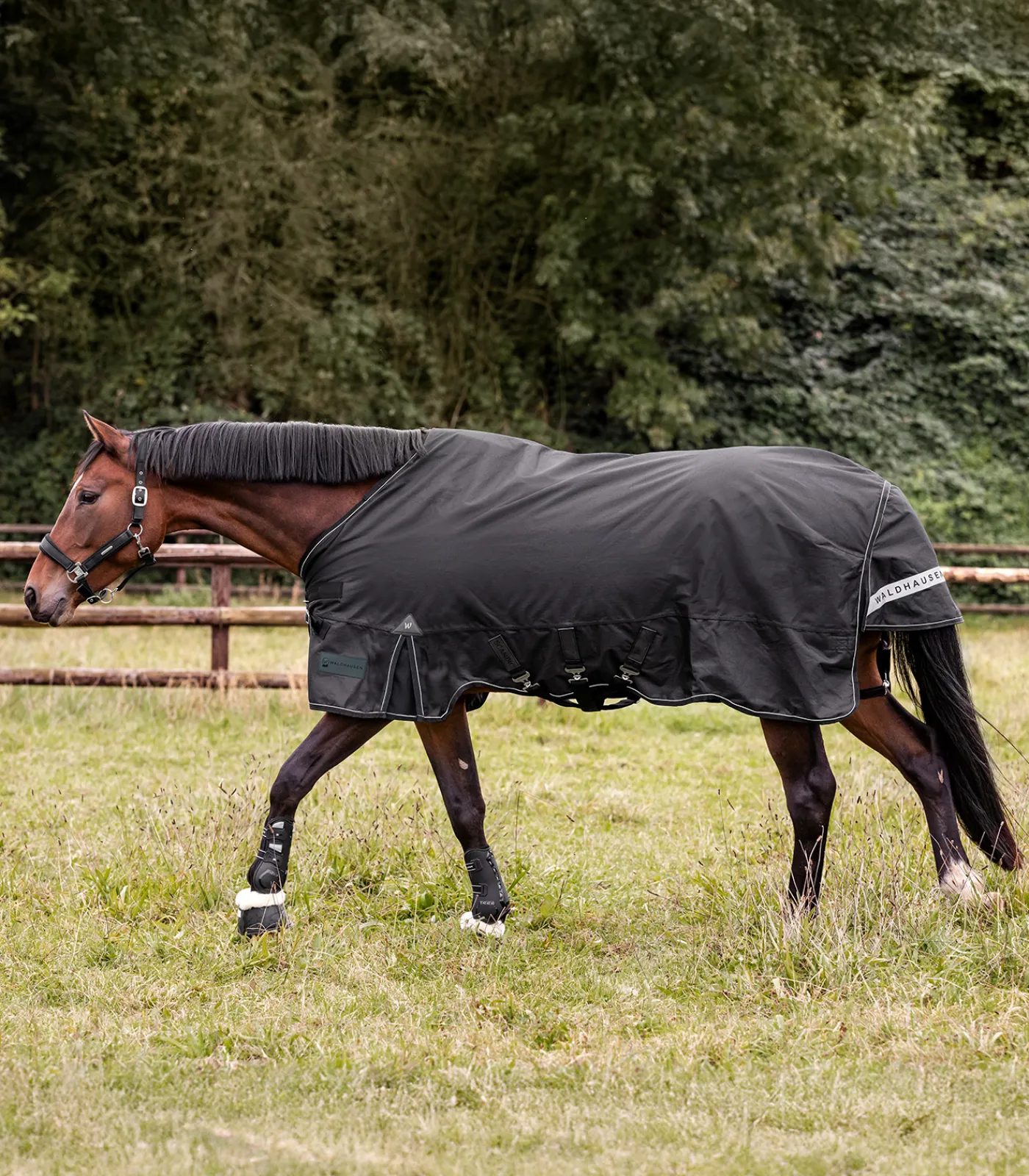 Waldhausen Outdoordecken>SCANDIC Outdoordecke, 300 g