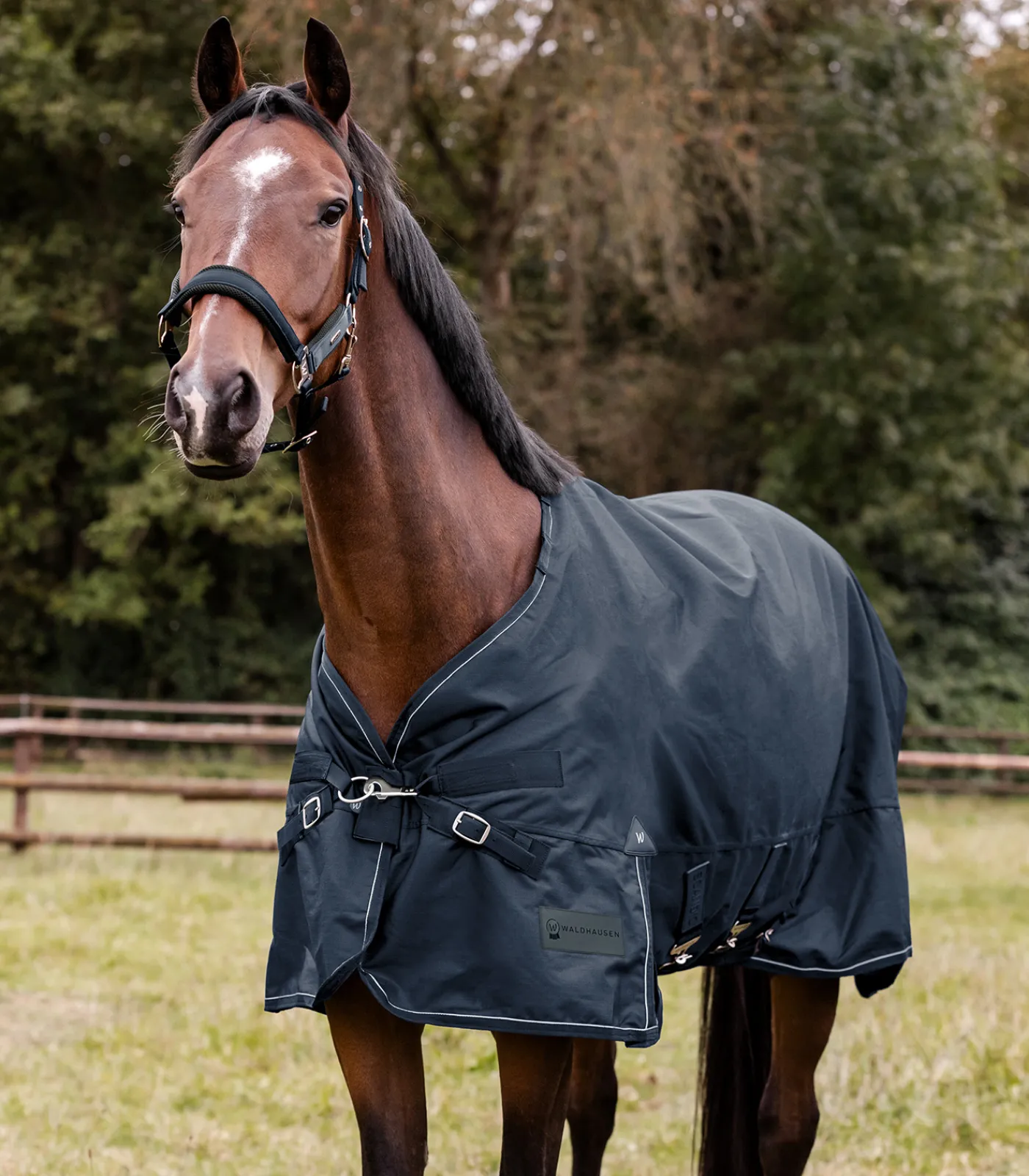 Waldhausen Outdoordecken>SCANDIC Outdoordecke, 300 g