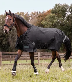 Waldhausen Outdoordecken></noscript>SCANDIC Outdoordecke, Light