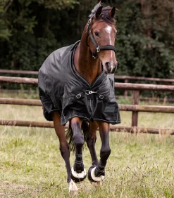 Waldhausen Outdoordecken></noscript>SCANDIC Outdoordecke, Light