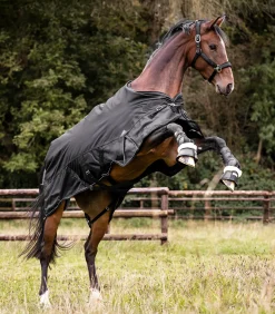 Waldhausen Outdoordecken></noscript>SCANDIC Outdoordecke, Light