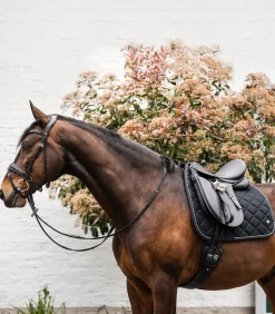 Waldhausen Schabracken><noscript><img width=