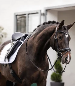 Waldhausen Schabracken></noscript>Schabracke Classic