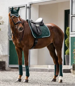 Waldhausen Turnierschabracken & Fliegenohren|Schabracken><noscript><img width=