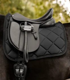 Waldhausen Turnierschabracken & Fliegenohren|Schabracken><noscript><img width=