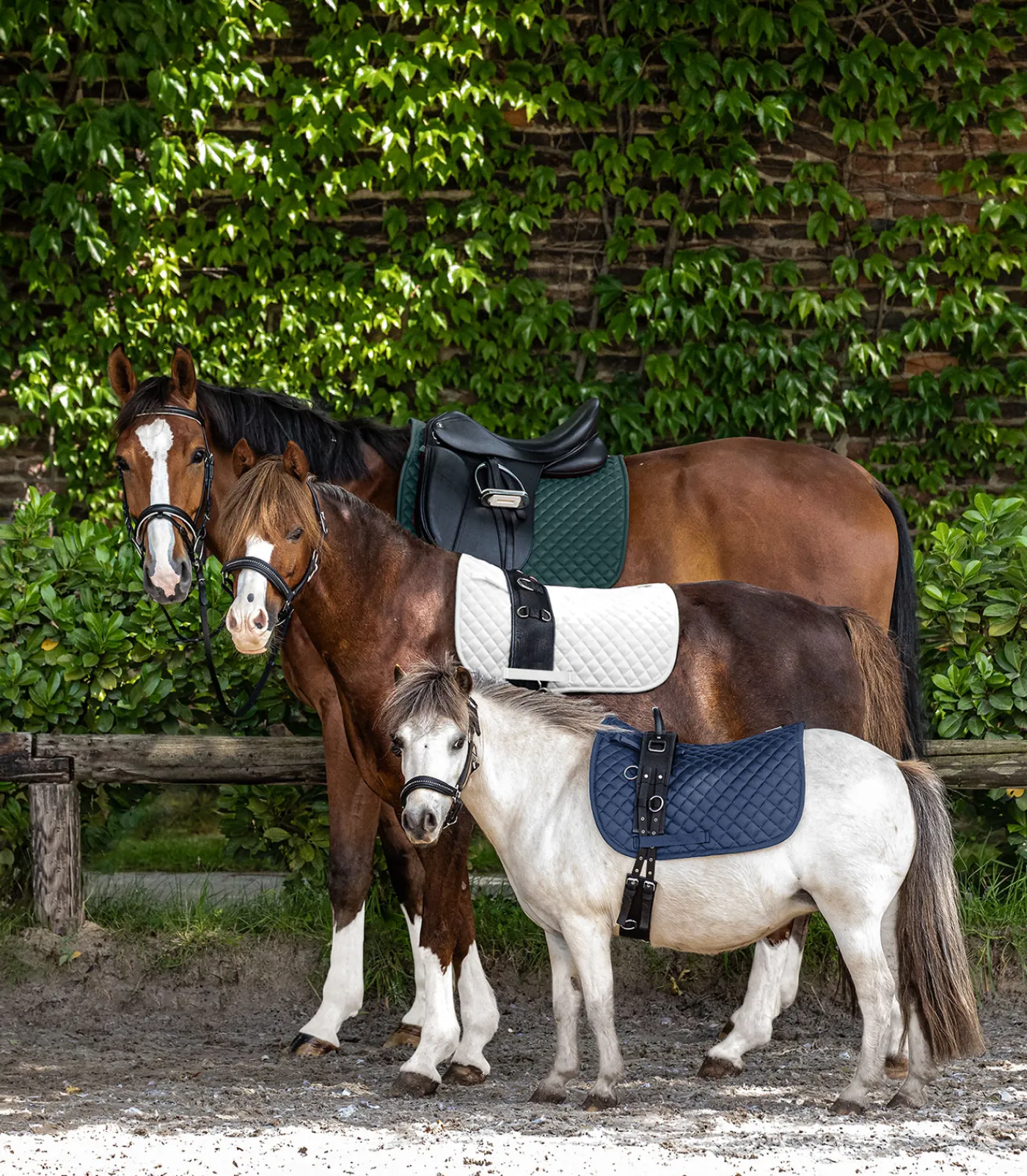 Waldhausen Pony & Shetty|Schabracken>Schabracke Felix