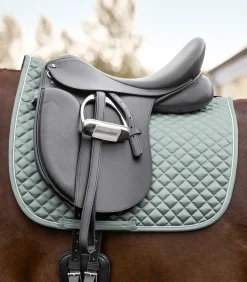 Waldhausen Schabracken><noscript><img width=