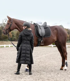 Waldhausen Schabracken><noscript><img width=