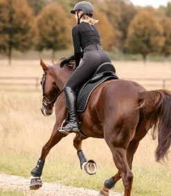 Waldhausen Schabracken><noscript><img width=