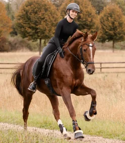 Waldhausen Schabracken><noscript><img width=