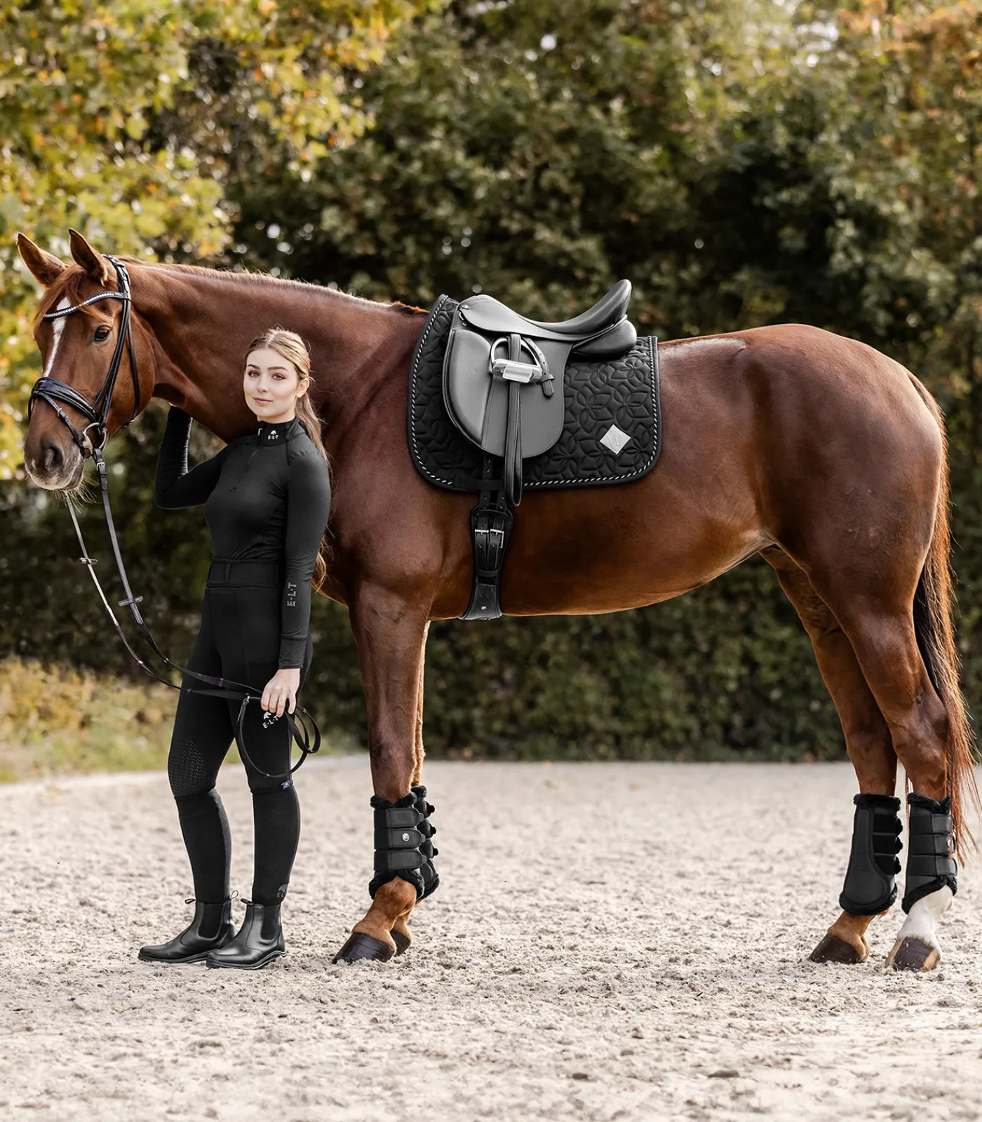 Waldhausen Schabracken>Schabracke Marseille