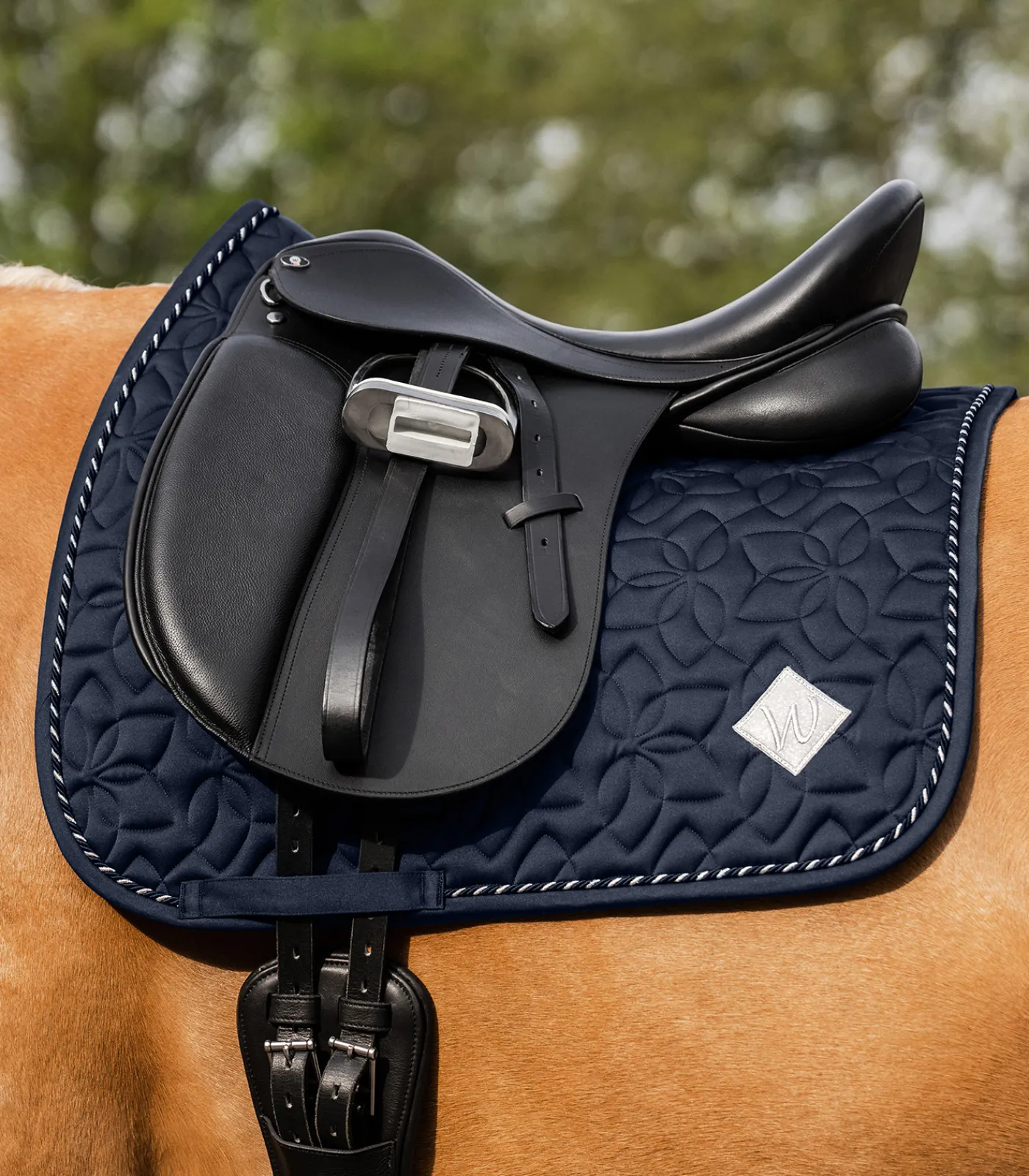 Waldhausen Schabracken>Schabracke Marseille