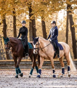 Waldhausen Schabracken><noscript><img width=