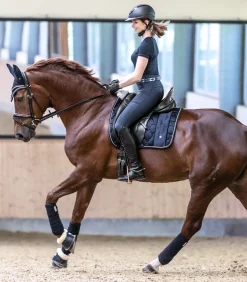 Waldhausen Schabracken><noscript><img width=