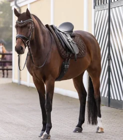 Waldhausen Schabracken></noscript>Schabracke Nepal