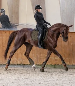 Waldhausen Schabracken><noscript><img width=