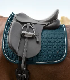 Waldhausen Schabracken><noscript><img width=