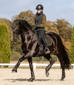 Waldhausen Schabracken><noscript><img width=