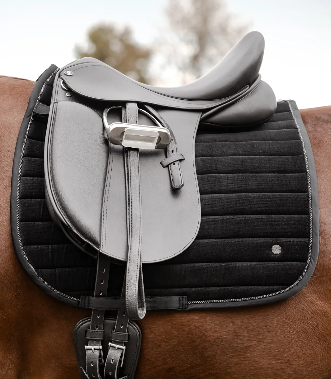 Waldhausen Schabracken>Schabracke St. Gallen