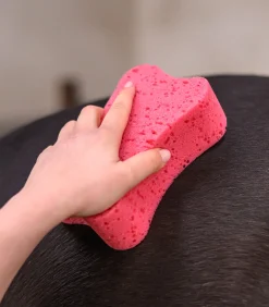 Waldhausen Pferdewäsche></noscript>Schwamm, pink