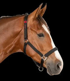 Waldhausen Pony & Shetty|Halfter></noscript>Sicherheitshalfter