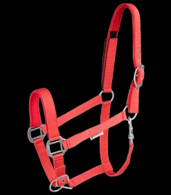 Waldhausen Pony & Shetty|Halfter></noscript>Sicherheitshalfter