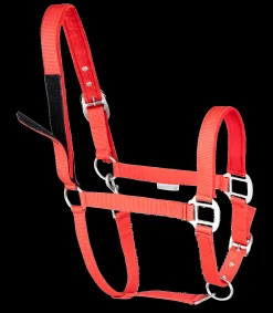 Waldhausen Pony & Shetty|Halfter></noscript>Sicherheitshalfter