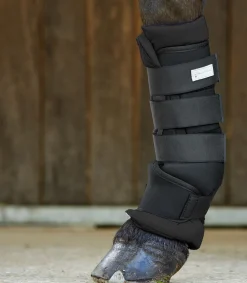 Waldhausen Transport|Stall- & Transportgamaschen><noscript><img width=