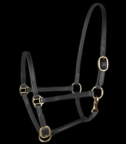 STAR Fohlen|Pony & Shetty>Fohlenvorführhalfter, Leder