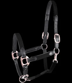 STAR Pony & Shetty|Halfter>Halfter MIX