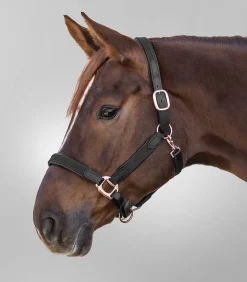 STAR Pony & Shetty|Halfter>Halfter MIX