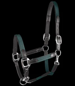 STAR Pony & Shetty|Halfter><noscript><img width=