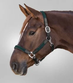 STAR Pony & Shetty|Halfter><noscript><img width=