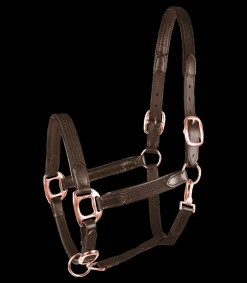 STAR Pony & Shetty|Halfter><noscript><img width=