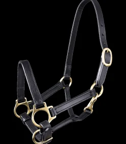 STAR Fohlen|Halfter>Leder Fohlenhalfter