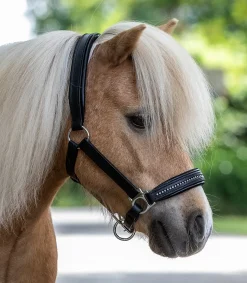 STAR Pony & Shetty|Halfter>Lederhalfter Diamond