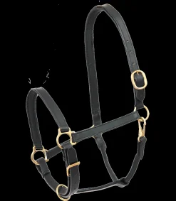 STAR Pony & Shetty|Halfter>Lederhalfter Robust