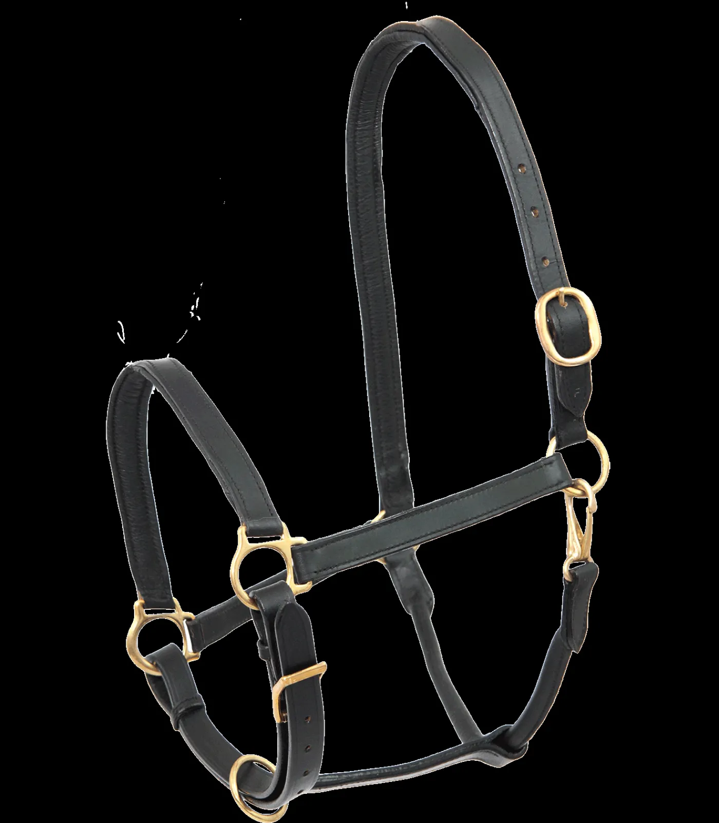 STAR Pony & Shetty|Halfter>Lederhalfter Robust