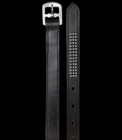 STAR Steigbügelriemen></noscript>Steigbügelriemen Silver