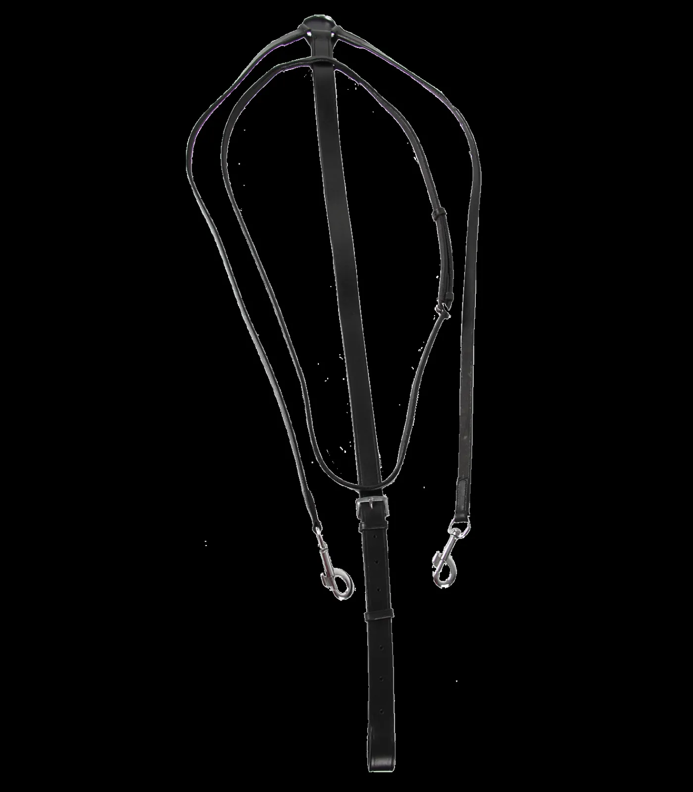 STAR Pony & Shetty>Thiedemann-Martingal