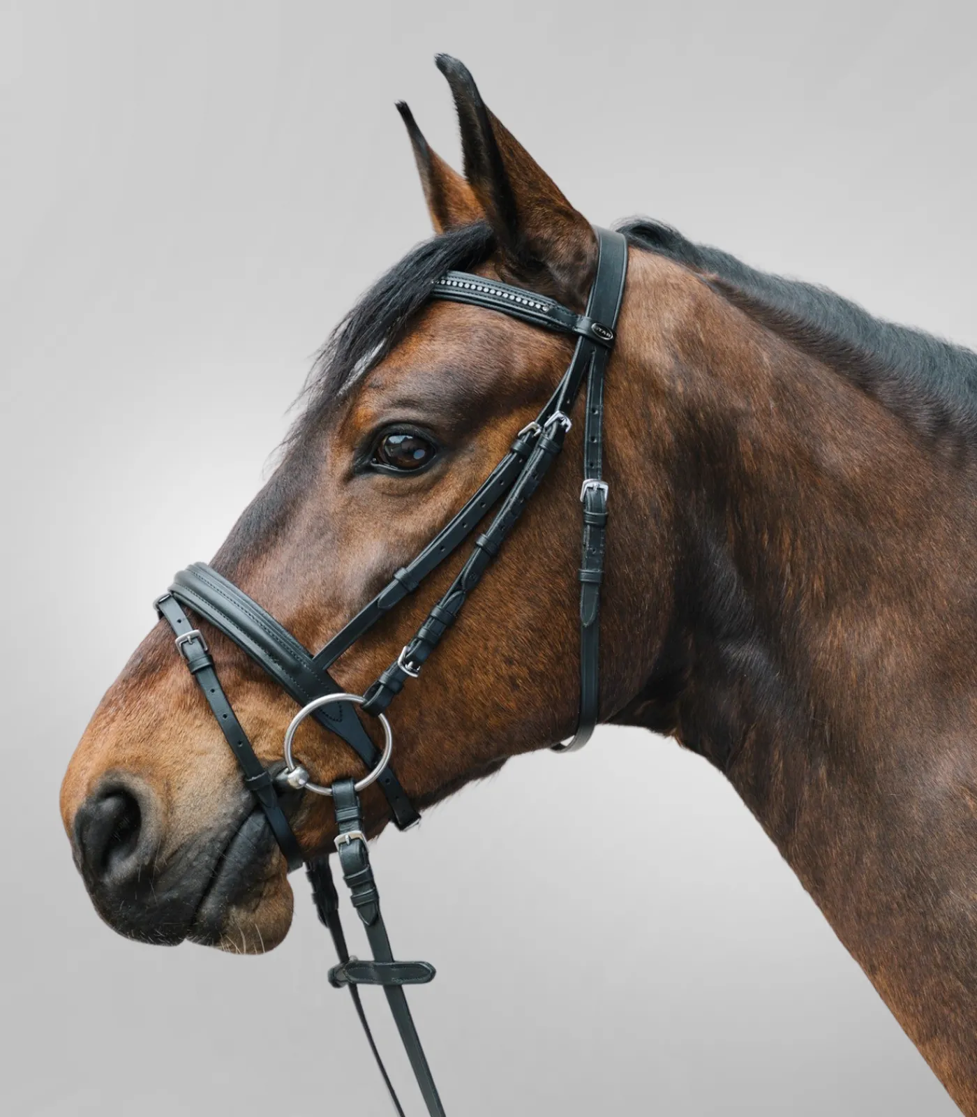 STAR Pony & Shetty|Shetty Trensenzäume>Trensenzaum Diamond