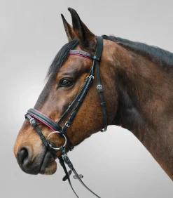 STAR Pony & Shetty|Shetty Trensenzäume>Trensenzaum Diamond