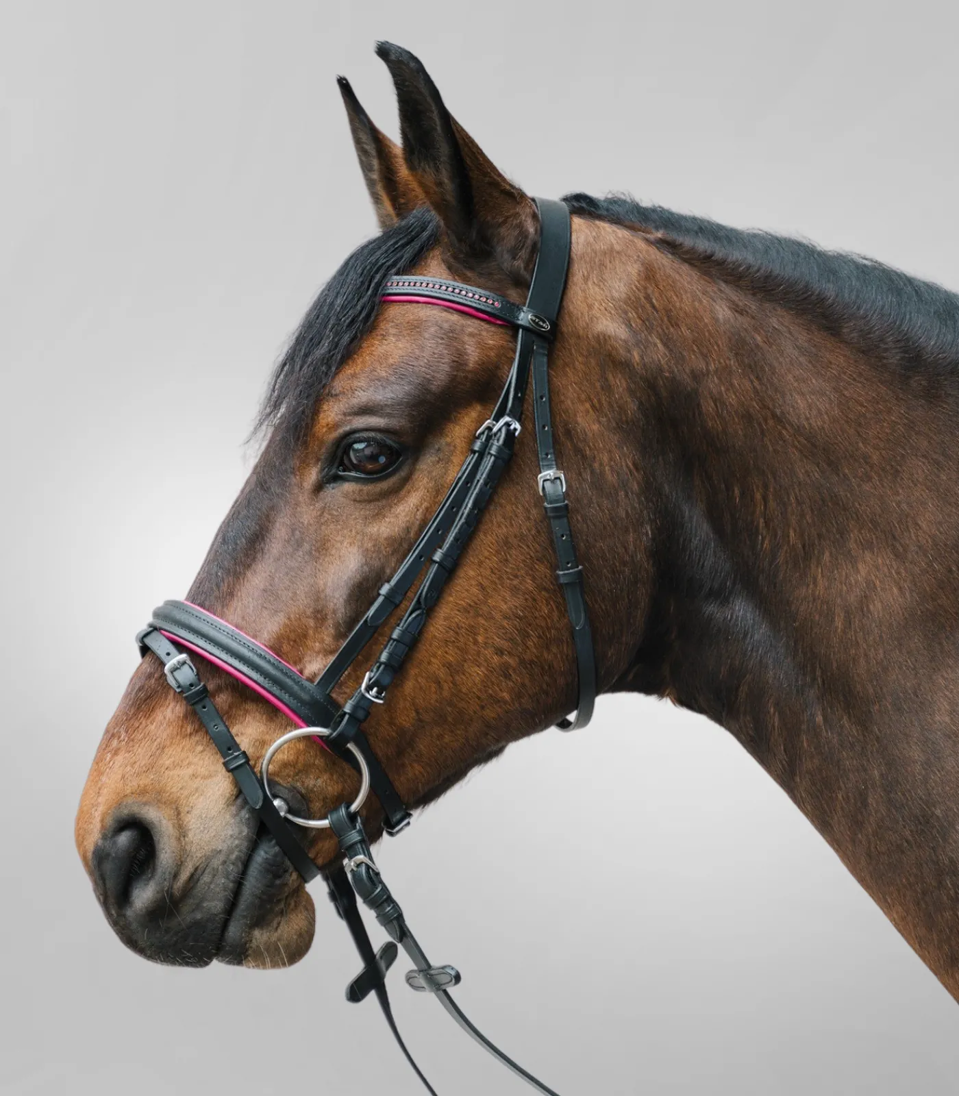 STAR Pony & Shetty|Shetty Trensenzäume>Trensenzaum Diamond