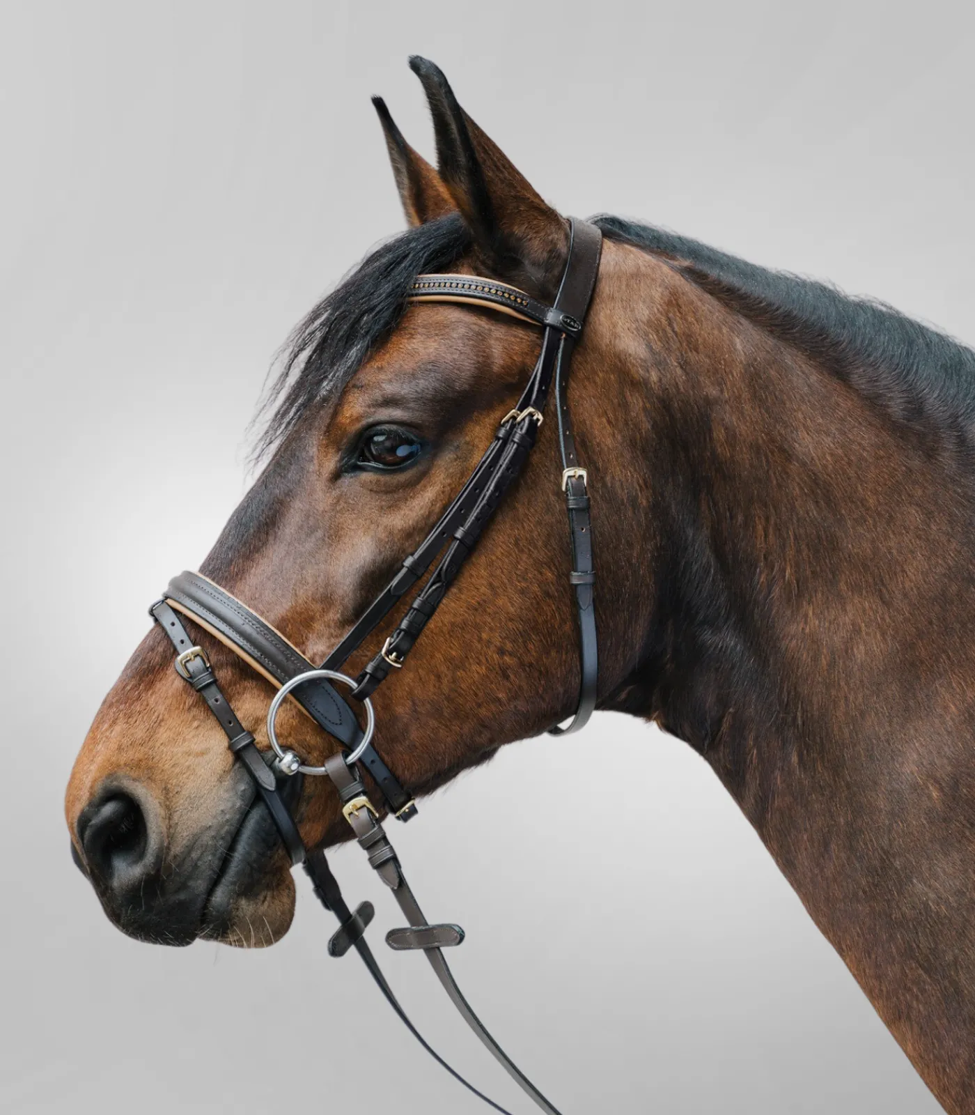 STAR Pony & Shetty|Shetty Trensenzäume>Trensenzaum Diamond