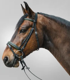 STAR Pony & Shetty|Shetty Trensenzäume><noscript><img width=