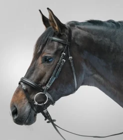 STAR Pony & Shetty|Shetty Trensenzäume>Trensenzaum Lifestyle